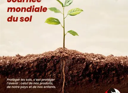 journee-du-sol-chez-bracongo-sa