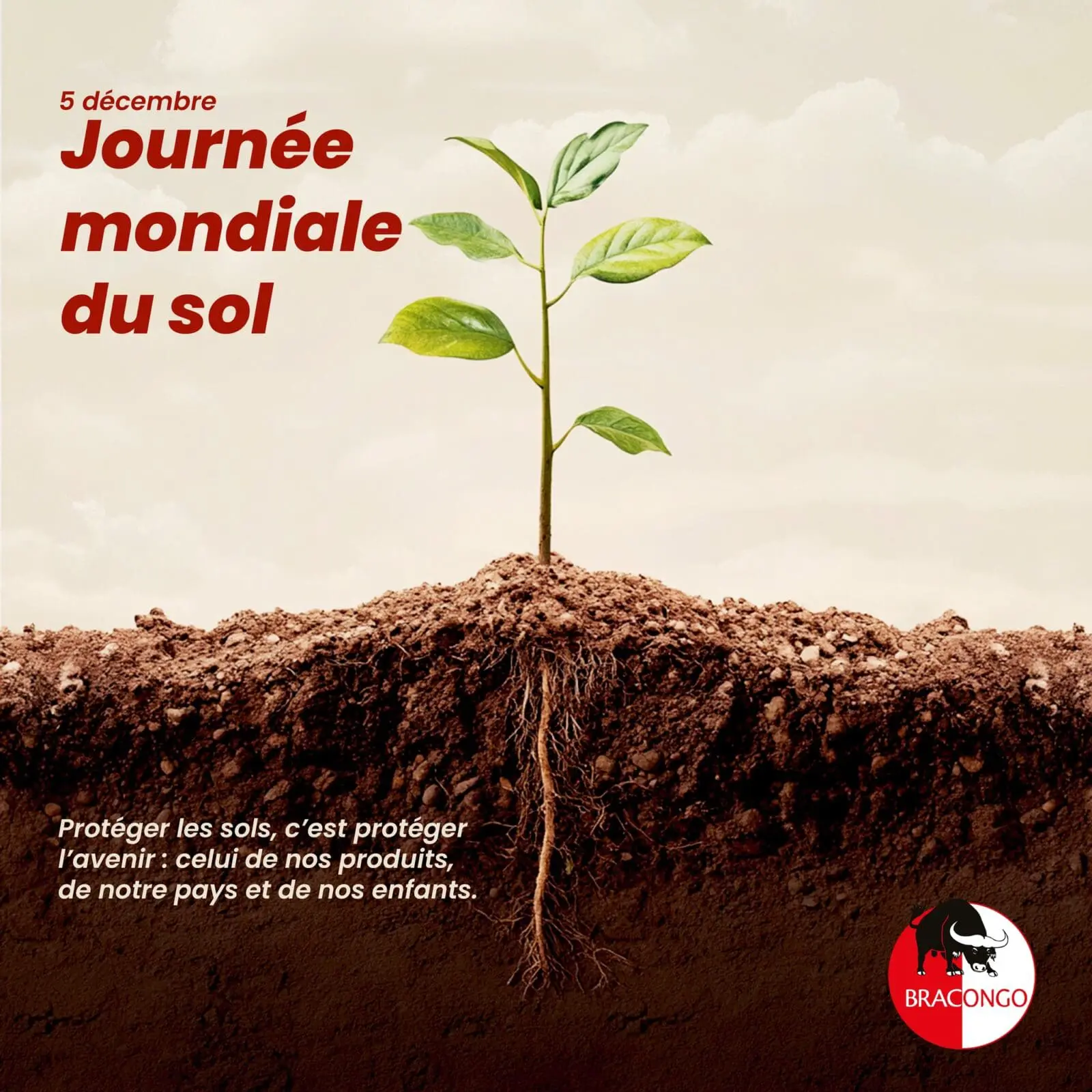 journee-du-sol-chez-bracongo-sa