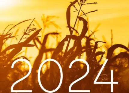 brasimba-publie-son-rapport-rse-2024-|-brasimba