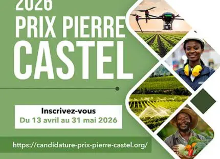 la-9e-edition-du-prix-pierre-castel-est-lancee-!