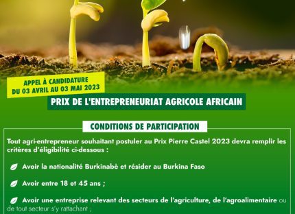 prix-de-l’entrepreneuriat-agricole-africain-:-conditions-de-participation