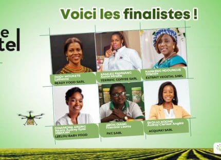 prix-pierre-castel-2024-:-les-finalistes-cameroun-sont-connues