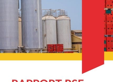 rapport-rse-sobragui