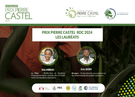 decouvrez-les-deux-laureats-du-prix-pierre-castel-rdc-!