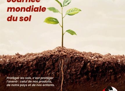 journee-du-sol-chez-bracongo-sa