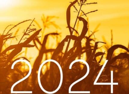 brasimba-publie-son-rapport-rse-2024-|-brasimba
