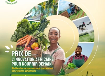 -ouverture-officielle-des-candidatures-–-prix-pierre-castel-|-brasimba